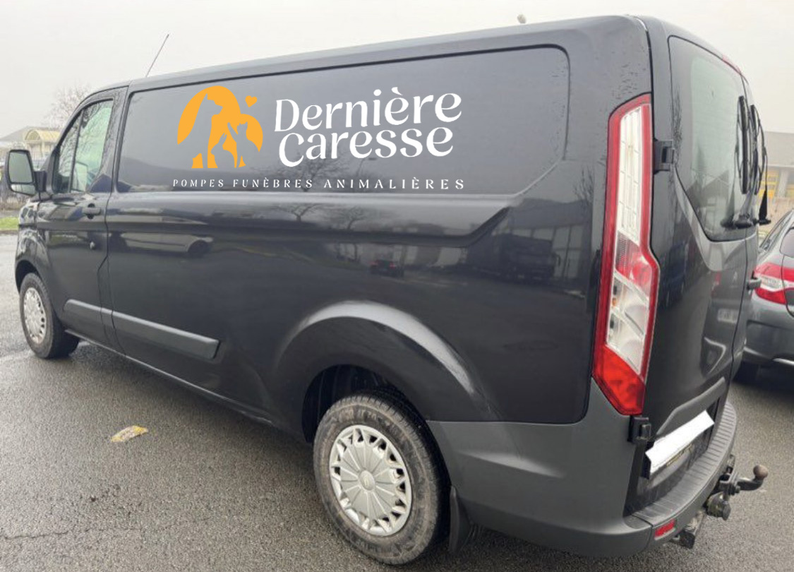 Transport de votre animal jusqu’au crématorium