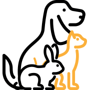 Prise en charge de votre animal